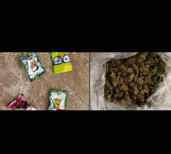 Gare du TER de Colobane : Un Malien arrêté avec 25 sachets de Kush Gare du TER de Colobane : Un Malien arrêté avec 25 sachets de Kush