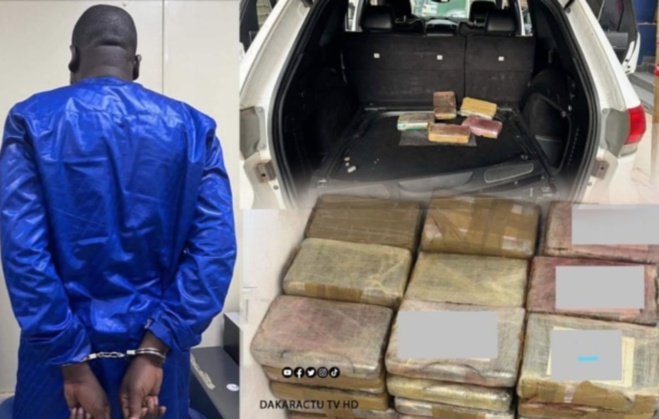 Douanes: Saisie de 108,7 kg de cocaïne à Kalifourou d'une contrevaleur de 8.700.000.000 de Fcfa Douanes: Saisie de 108,7 kg de cocaïne à Kalifourou d'une contrevaleur de 8.700.000.000 de Fcfa