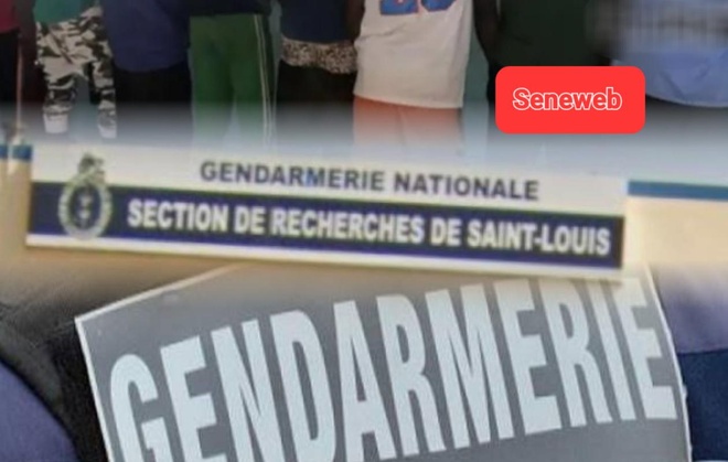 Huit présumés homosexuels, dont deux porteurs du VIH arrêtés : De nouvelles révélations sur le réseau démantelé par la SR de Saint-Louis Huit présumés homosexuels, dont deux porteurs du VIH arrêtés : De nouvelles révélations sur le réseau démantelé par la SR de Saint-Louis