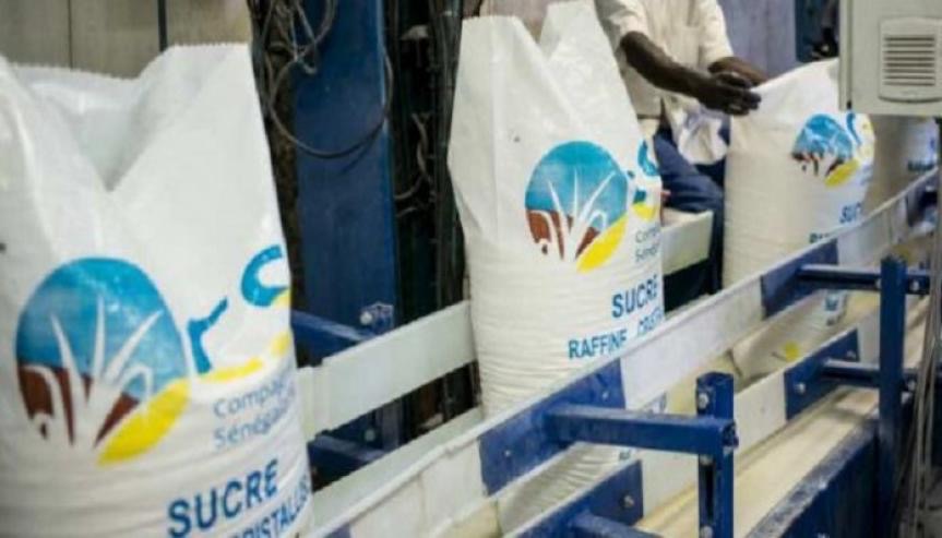 Immersion à la CSS : Les coulisses amères d'une sucrerie sénégalaise