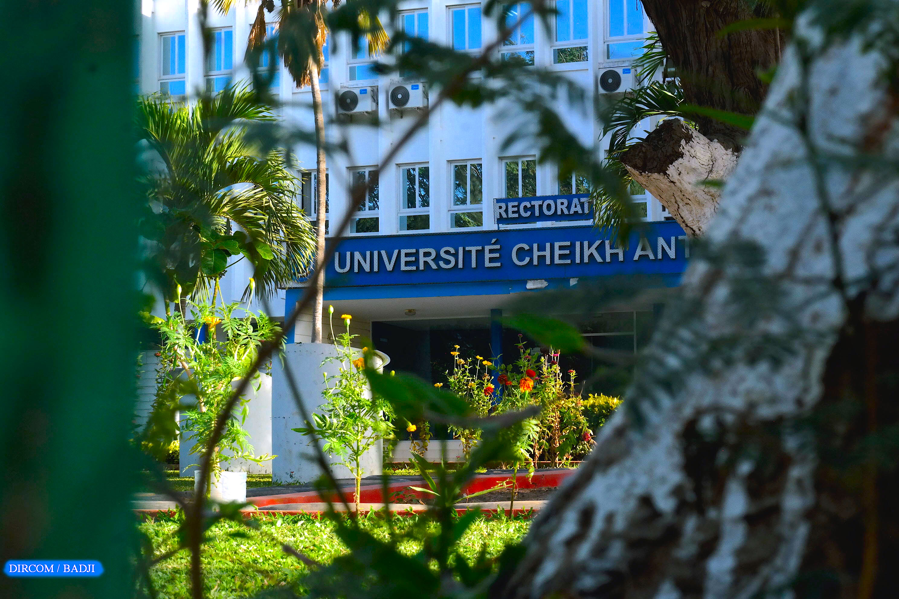 Université Cheikh Anta Diop : le Collectif des Amicales dénonce la réouverture partielle des campus sociaux