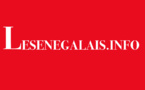 lesenegalais.info